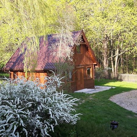 Ferienwohnung Bakusiowy Zakatek Lipowo Kurkowskie Exterior foto