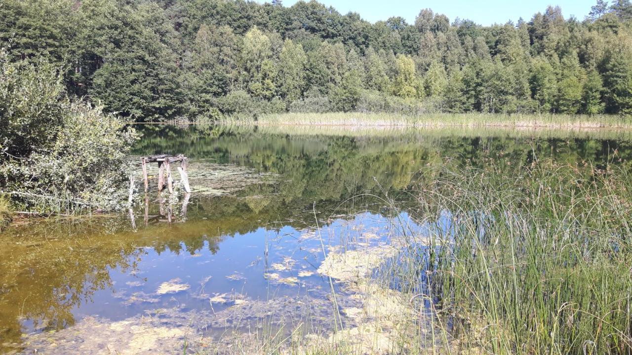 Ferienwohnung Bakusiowy Zakatek Lipowo Kurkowskie Exterior foto